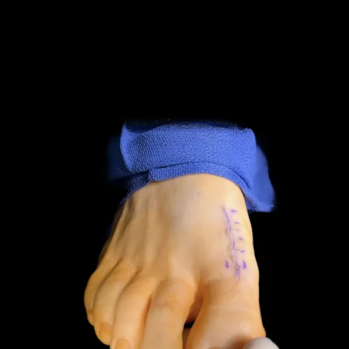 x-Photo-Apr-09-2024-1-09-57-AM